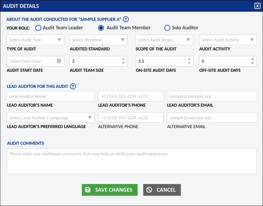 Audit Details Form